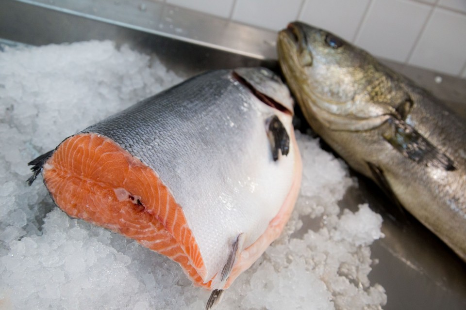 Ολόφρεσκος σολομός. 