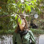 Θέατρο Τέχνης: 5 νέες παραγωγές για την άνοιξη