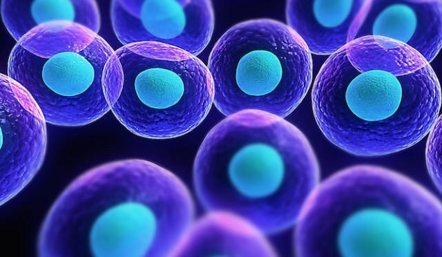 Ανακαλύφθηκε πάνω στο δέρμα το πρώτο βακτήριο που προστατεύει από τον καρκίνο