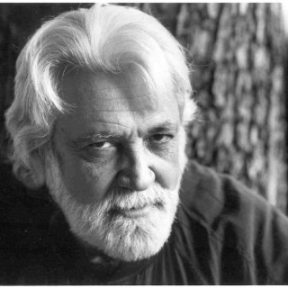 Ο βίος και η πολιτεία του Ντανιέλ Τσαβαρία