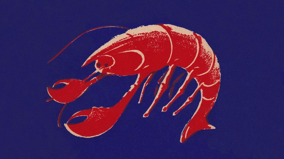 popaganda_mageirefta_5