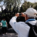 Τουρισμός: Ο ΣΕΤΕ αναμένει ρεκόρ αφίξεων τουριστών το 2016