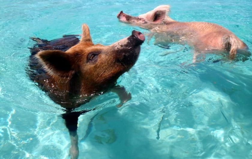 tumblr_n8k4e6yVC01r83d7lo1_1280