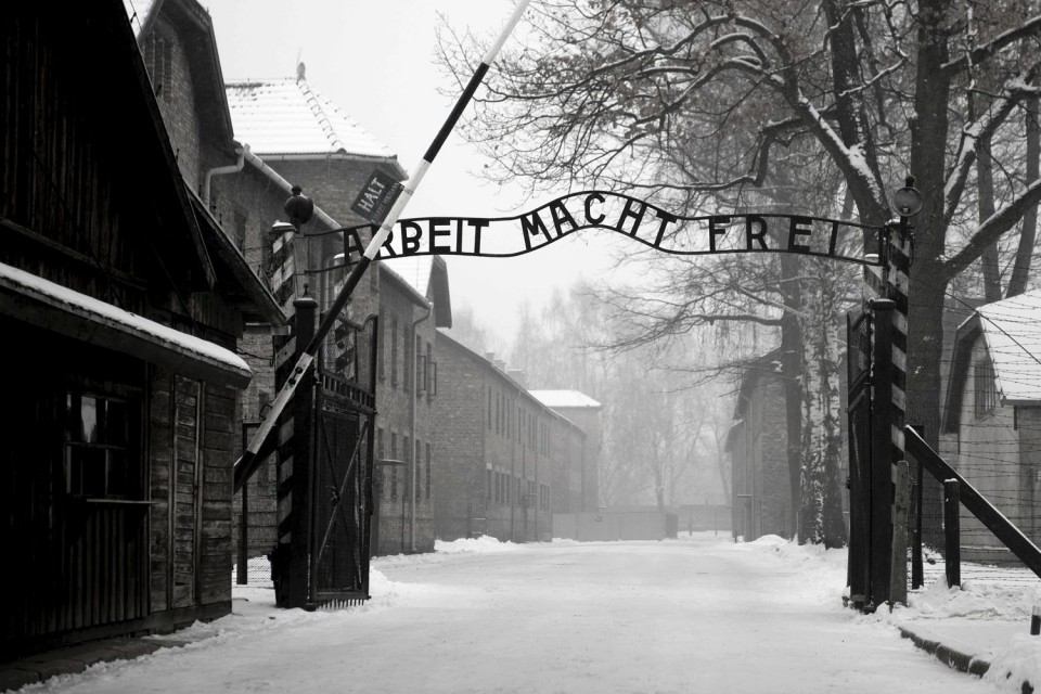 02_17104430_c0497a_2452645a