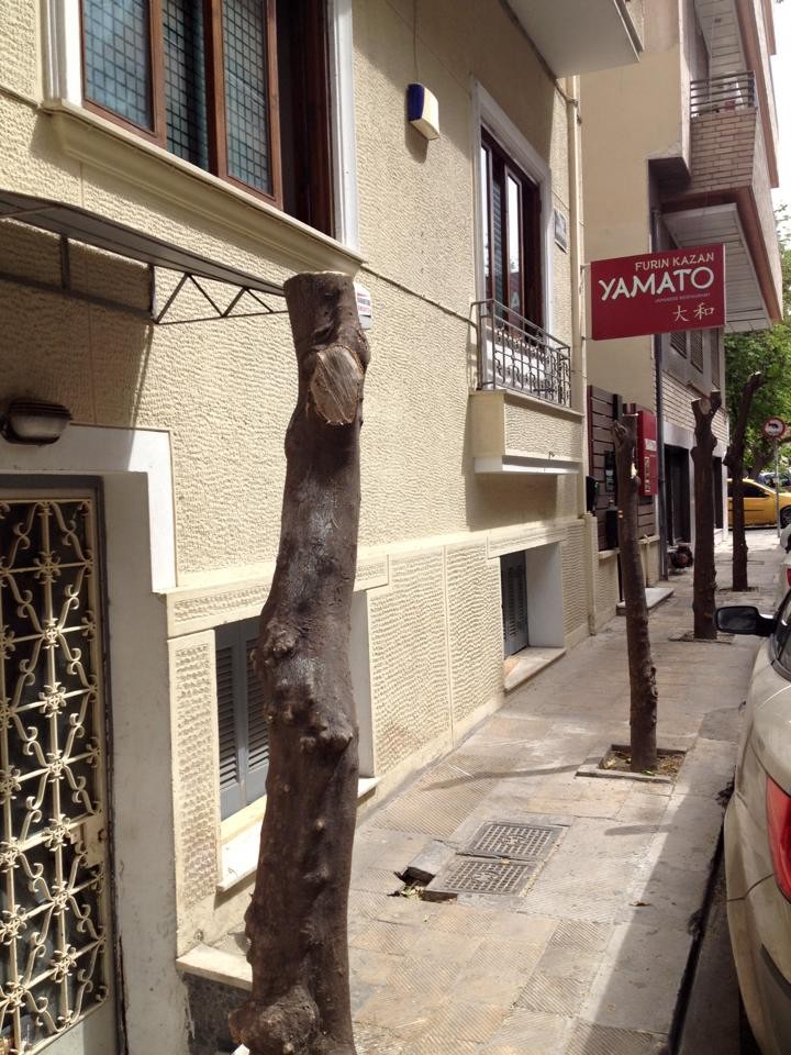 12987147_944648018983526_975182010394184125_n