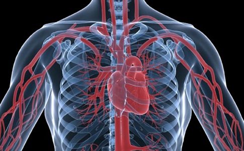Δωρεάν καρδιολογικό έλεγχο προσφέρει η Ελληνική Καρδιολογική Εταιρεία