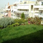 Μπορούν οι ταράτσες των σχολείων να γίνουν πράσινες;