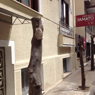 Ποιος πήγε και έκοψε τις νεραντζιές της οδού Αλκιμάχου;