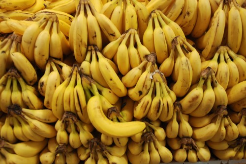 Επιστήμονες «έφτιαξαν» τις πρώτες γενετικά τροποποιημένες μπανάνες που αργούν να χαλάσουν