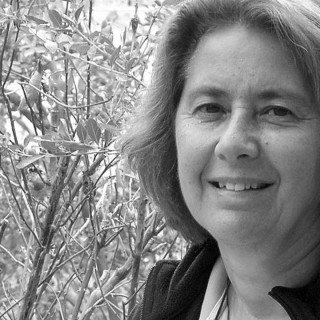 Κανένα άλμα προς τα εμπρός, της Νίκης Μαραγκού