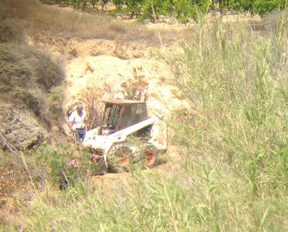 13173081_10207352792591194_5891158965586192682_o