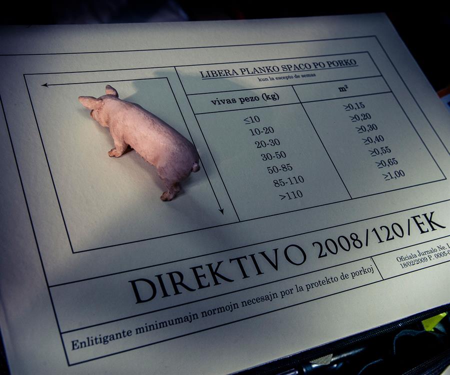 Το Σπίτι της Ευρωπαϊκής Ιστορίας στην Εξορία, του Thomas Bellinck