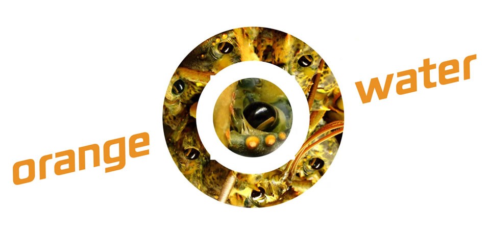 orange-water