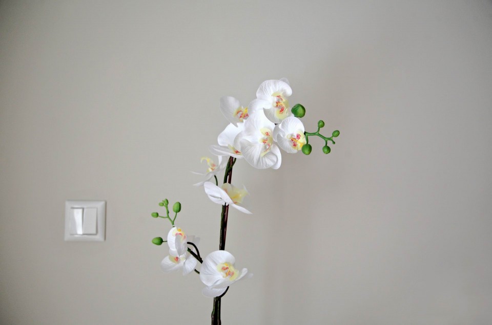 popaganda_09_blueground_23