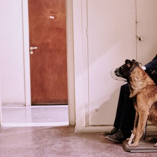 (Μαύρες) σκέψεις για την Ευρώπη που πεθαίνει