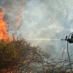 Σε εξέλιξη δασική πυρκαγιά στα Μέγαρα