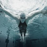 Μάικλ Φελπς εναντίον λευκού καρχαρία