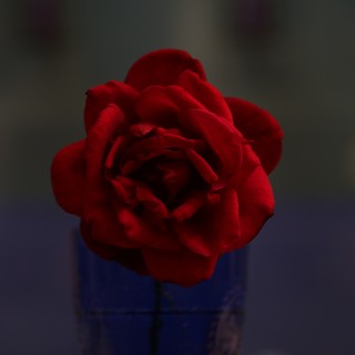 Ένα ποίημα αφιερωμένο στον Μίμη Μαρωνίτη