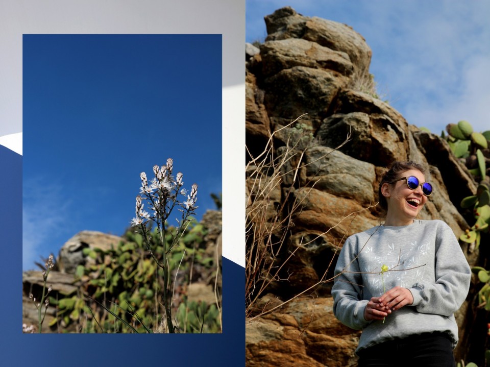 THEBLUEWHITE_SWEATSHIRT