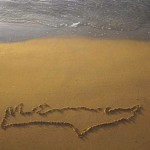 Σητεία: Συνεχίζονται για δεύτερη ημέρα οι έρευνες για το αιλουροειδές