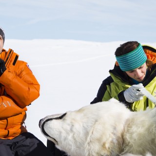 «Πού Πάω Θεέ Μου»: Μια καραμπινάτη ιταλική κωμωδία