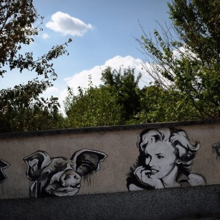 Art for Social Change: Η Μέριλιν Μονρόε και τα… γουρούνια της