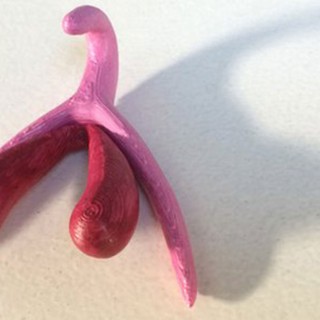 Μια 3D κλειτορίδα θα εκπαιδεύσει Γάλλους μαθητές για το σεξ