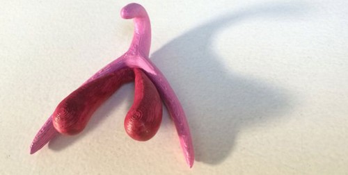 Μια 3D κλειτορίδα θα εκπαιδεύσει Γάλλους μαθητές για το σεξ