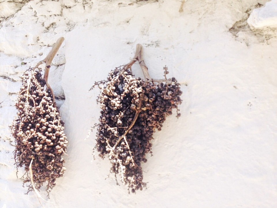 Γλέντια στο Πυργί στη Χίο_GoSeeLeave