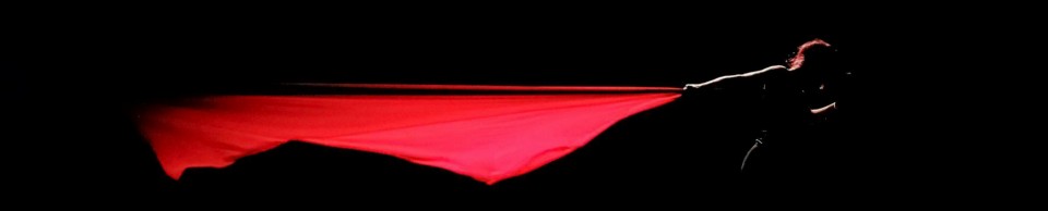 οι φοιτητές θα αποκτήσουν όλες εκείνες τις δεξιότητες που απαιτούνται στον συνεχώς εξελισσόμενο τομέα του σύγχρονου χορού