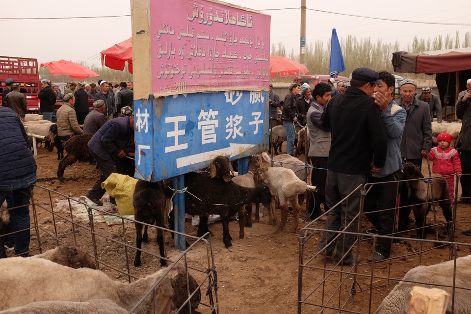 Η ζωοπανήγυρη, όπως και το παζάρι εν γένει, παραμένει ένα ζωντανό κομμάτι στη ζωή των Ουιγούρων.