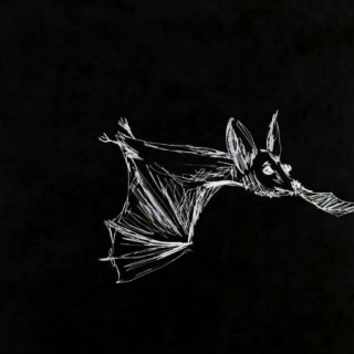 Πώς είναι να κάνεις κινούμενο σχέδιο τις όπερες της Λυρικής, Ειρήνη Βιανέλλη;