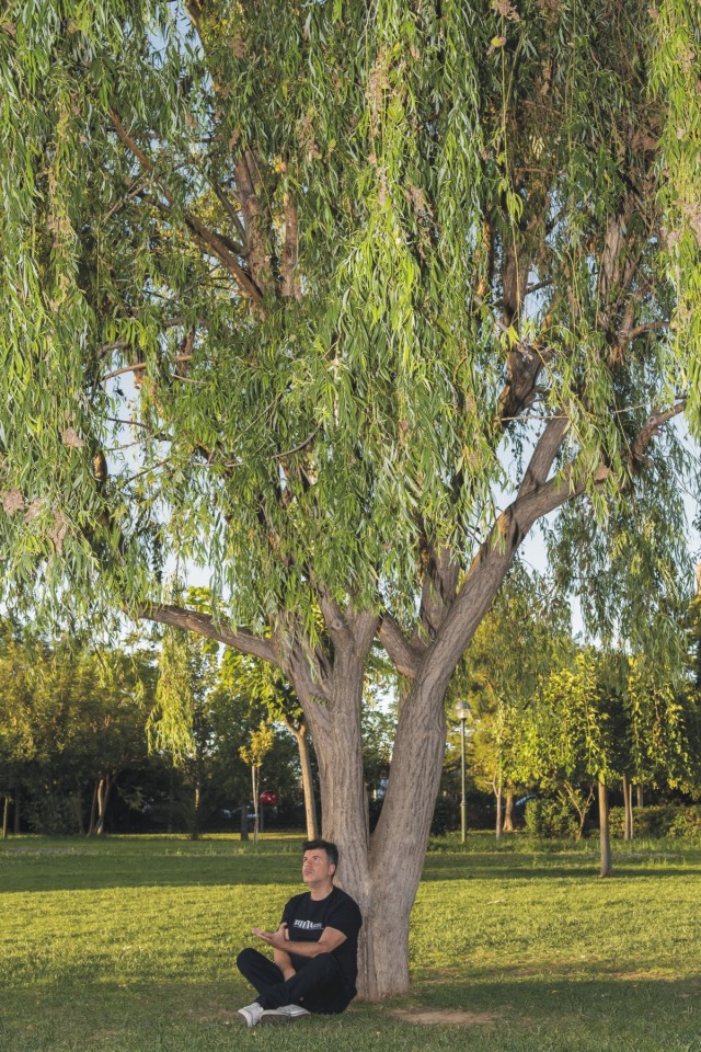 foivos-photo poster - m