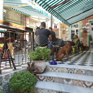 Upupa Epops: Όλη η Αθήνα ακόμα μιλάει γι΄αυτή την αυλή