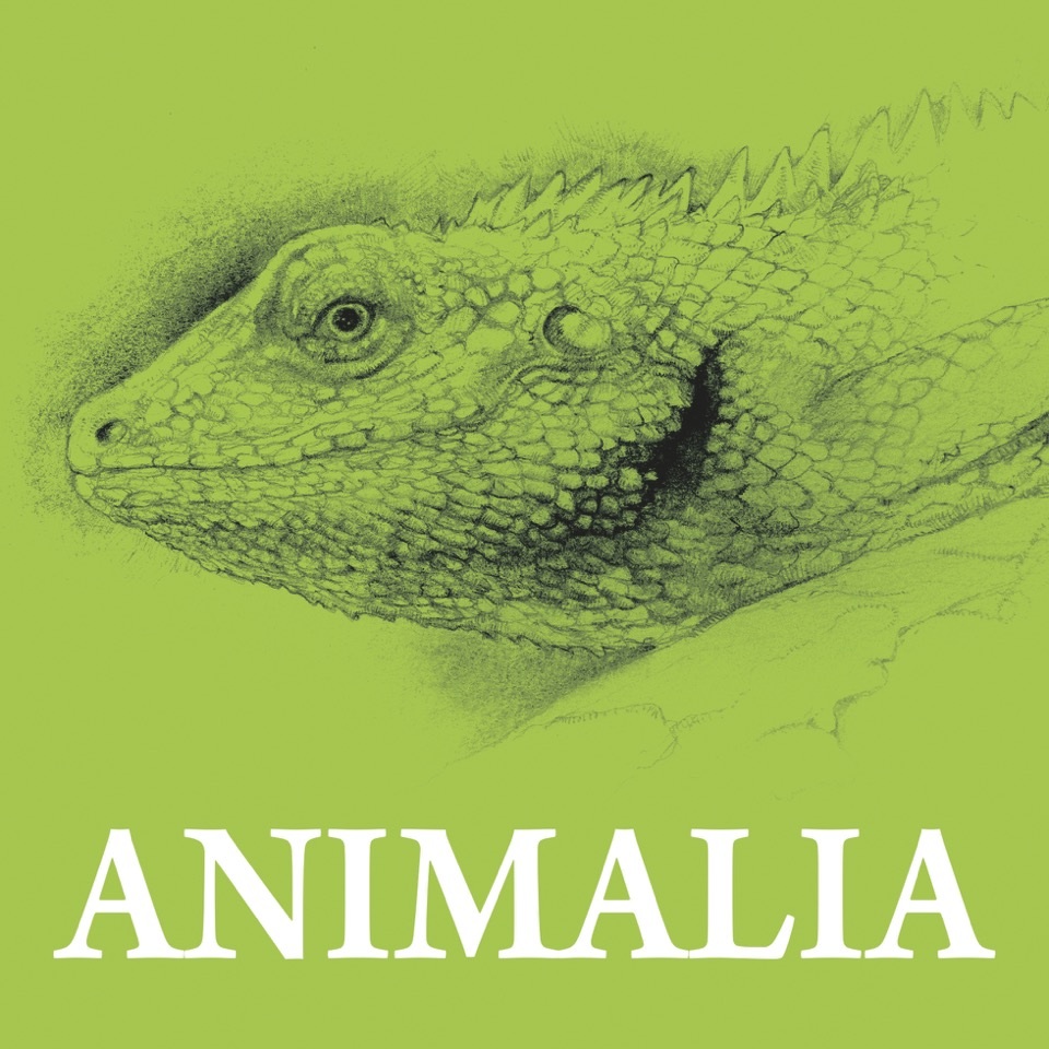 animalia