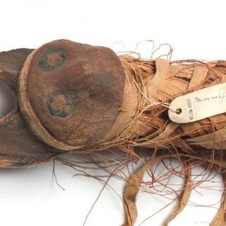 Πώς οι γάτες κατέκτησαν τον κόσμο