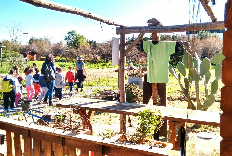 Οργάνωση Γη_2