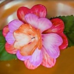 Πλαστικά φυτά ανθίζουν μόνα τους χάρη σε «μαγικά» υλικά