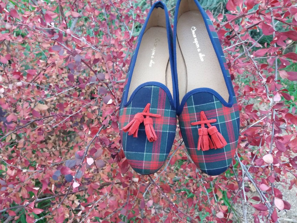 14500596_1049315448499445_5545911267757692990_o