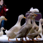 Η ταλαντούχα κόρη του Τσάρλι Τσάπλιν –το μήλο κάτω απ΄τη μηλιά!- καταφθάνει στην Αθήνα