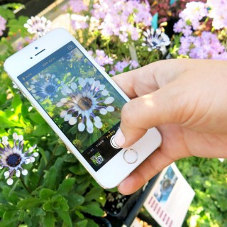 Πώς θα αποθηκεύσετε μια φωτογραφία από το Instagram;