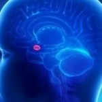 Ανακαλύφθηκε η «έκτη αίσθηση»