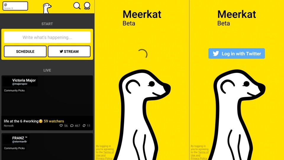 meerkat-beta-1