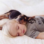 7 λόγοι για να κοιμάστε αγκαλιά με τον σκύλο σας