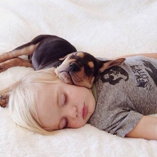 7 λόγοι για να κοιμάστε αγκαλιά με τον σκύλο σας