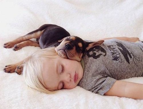 7 λόγοι για να κοιμάστε αγκαλιά με τον σκύλο σας