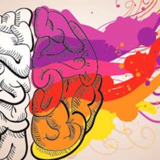 Τι συμβαίνει στον εγκέφαλο μας όταν μαθαίνουμε κάτι;