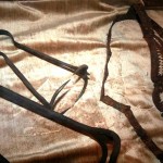 Ψηφίζεται νομοθεσία κατά του εμπορίου αντικειμένων που χρησιμοποιούνται σε βασανιστήρια