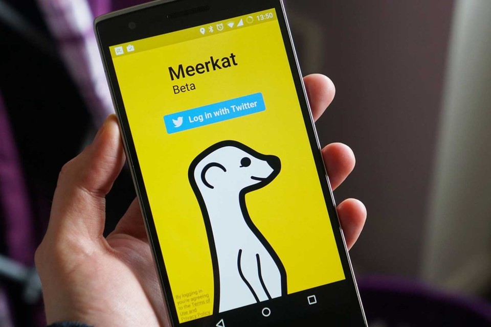meerkat-1500x1000