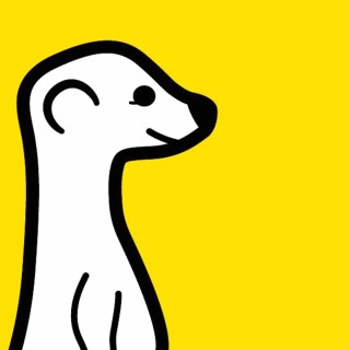 Τι μας διδάσκει ο θάνατος μίας σουρικάτας;